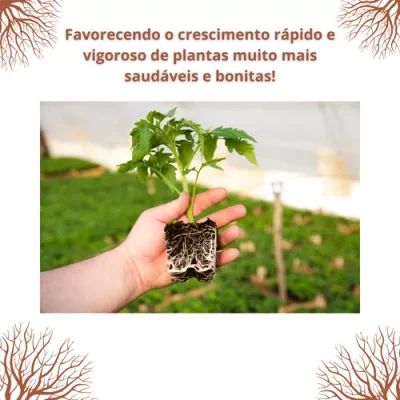 Adubo Enraizador Premium