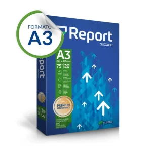 Papel A3 Report